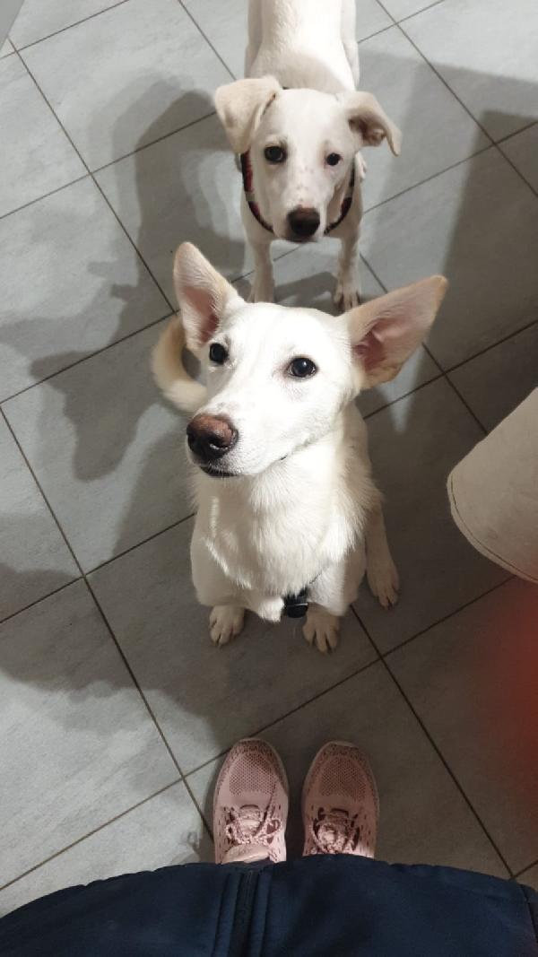 🌸 LILY – 6 MESI DI TENEREZZA! 🌸 Foto 2